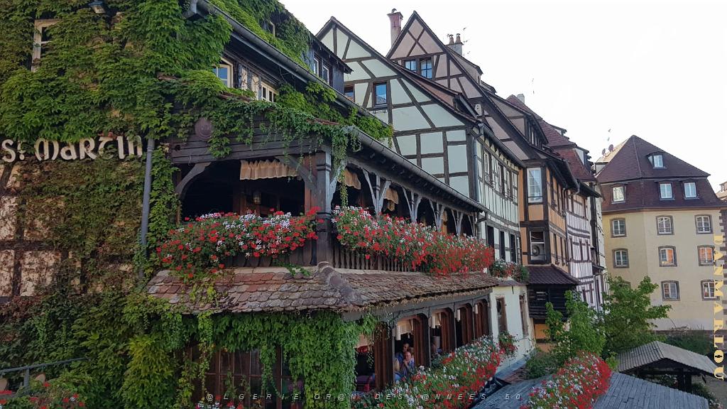 2022 08 DU COTE DE STRASBOURG_4.JPG